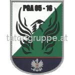 PolizeiGrundAusbildung 05-16-Steiermark (PVC)
