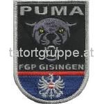 Fremden- und Grenzpolizeiliche Einheit PUMA / Gisingen